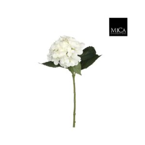 HORTENZIJA BELA - L51CM