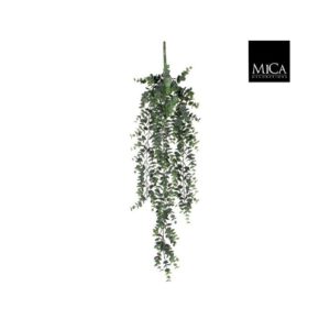 EUCALYPTUS VISEĆI - L93CM