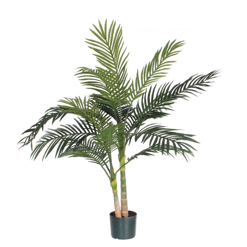 ARECA PALMA ZELENA - H120XD100CM