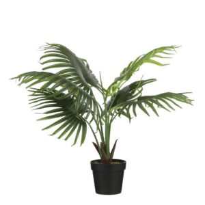 FAN PALMA U SAKSIJI - H80XD80CM