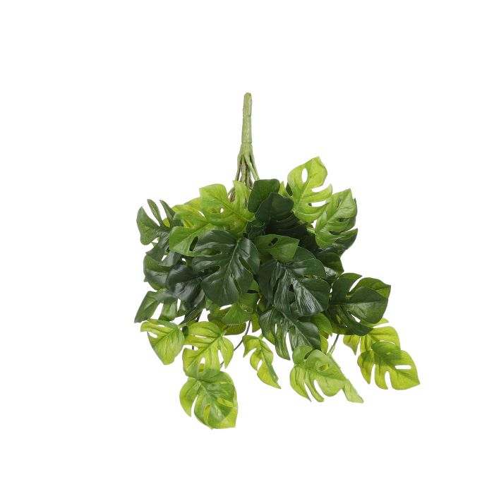 MONSTERA VISEĆA ZELENA - L30SW22XH22CM