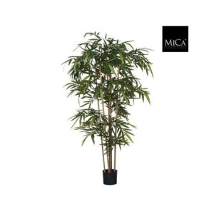 BAMBUS U SAKSIJI - H180XD75CM