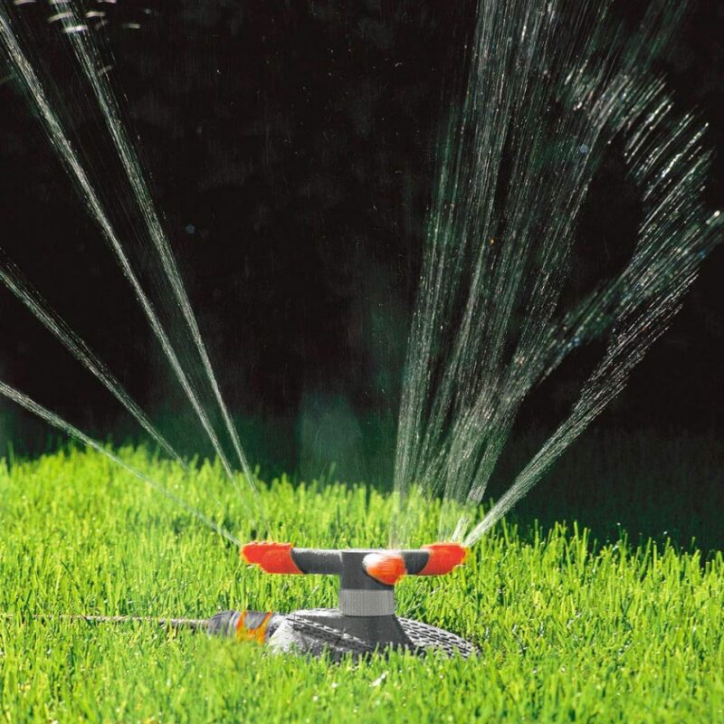 PRSKALICA KRUZNA SAMBA