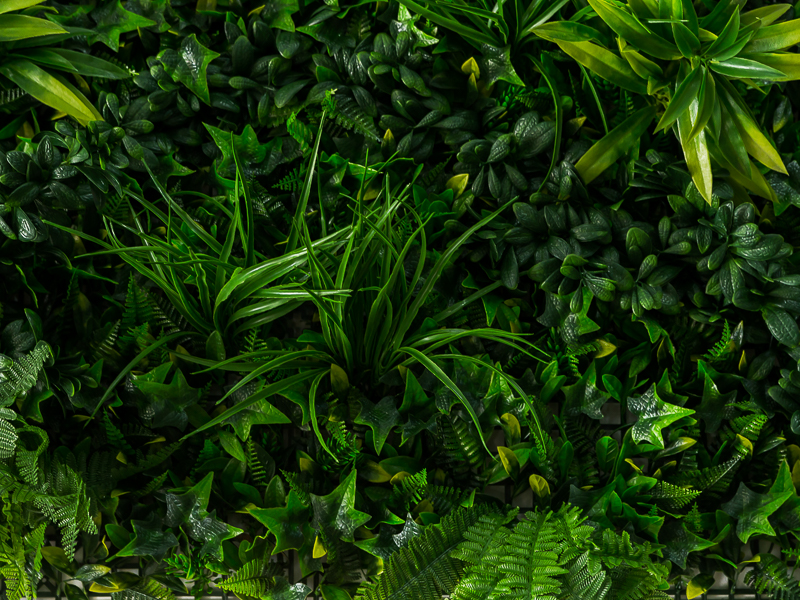 ZELENI ZID 1 GCN - Слика 2